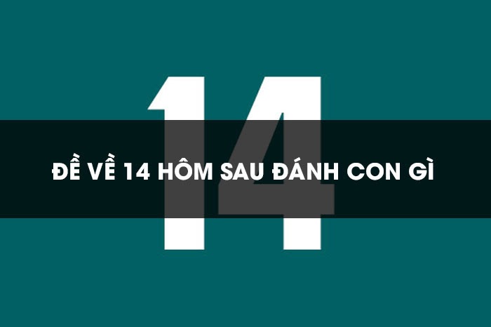 Đề về 14 h&ocirc;m sau đ&aacute;nh con g&igrave; chắc chắn sẽ tr&uacute;ng 100%