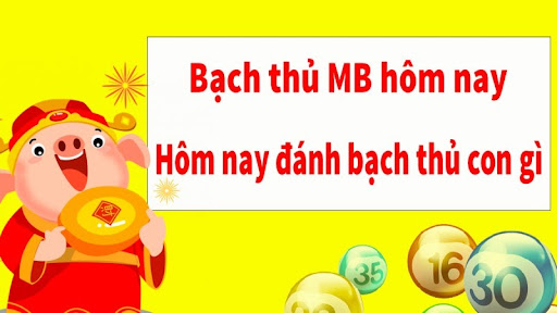 đề về 95 h&ocirc;m sau đ&aacute;nh con g&igrave;