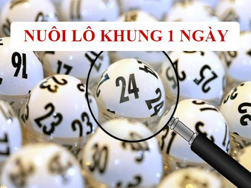 l&ocirc; khung 1 ng&agrave;y