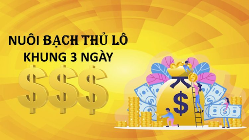 l&ocirc; khung 3 ng&agrave;y