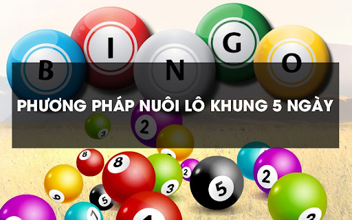 l&ocirc; khung 5 ng&agrave;y