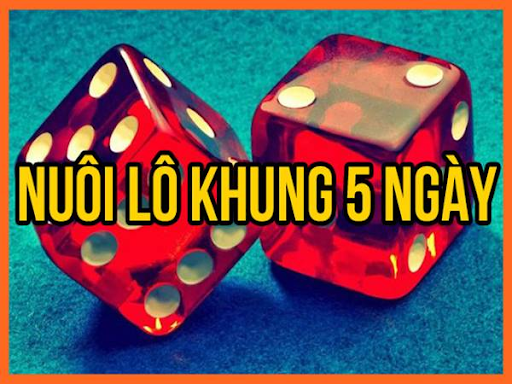 l&ocirc; khung 5 ng&agrave;y