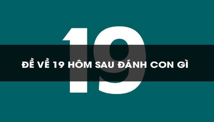 đề về 19 h&ocirc;m sau đ&aacute;nh con g&igrave;