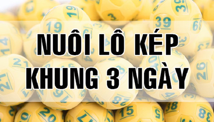 Soi l&ocirc; k&eacute;p rồng bạch kim khung 1 ng&agrave;y ch&iacute;nh x&aacute;c nhất h&ocirc;m nay
