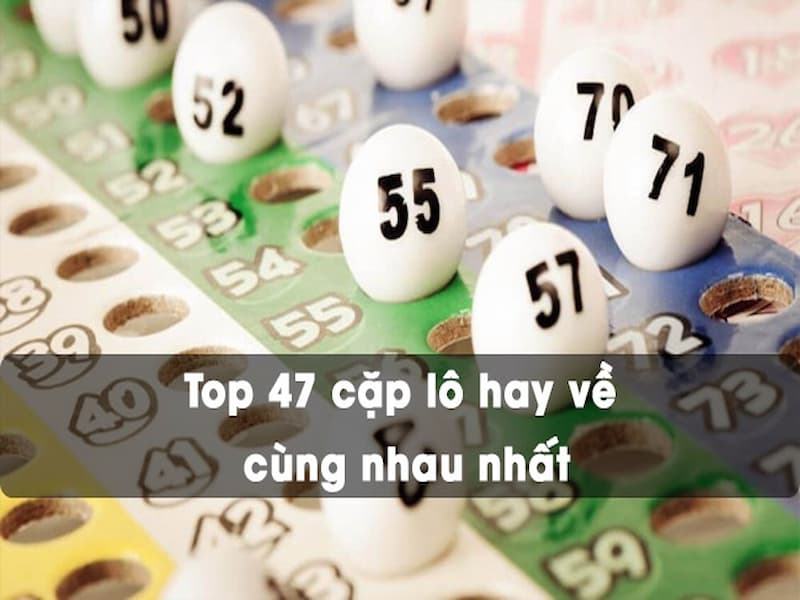 47 cặp l&ocirc; hay về c&ugrave;ng nhau