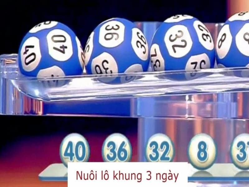 cặp l&ocirc; khung 3 ng&agrave;y
