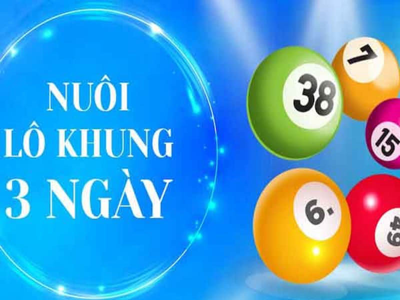 cặp l&ocirc; khung 3 ng&agrave;y