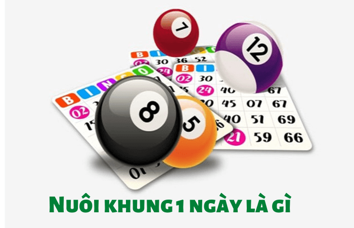 nu&ocirc;i khung 1 ng&agrave;y