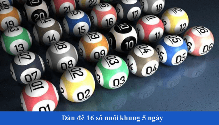 d&agrave;n đề 16 số khung 5 ng&agrave;y