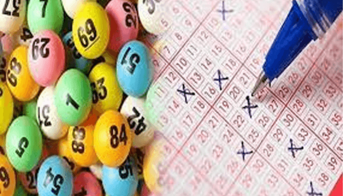 d&agrave;n đề 24 số nu&ocirc;i khung 3 ng&agrave;y