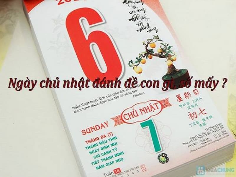 l&ocirc; hay về ng&agrave;y chủ nhật